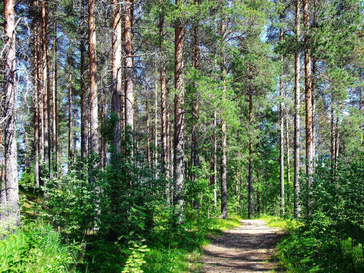 Hotel Julie Joensuu Zewnętrze zdjęcie